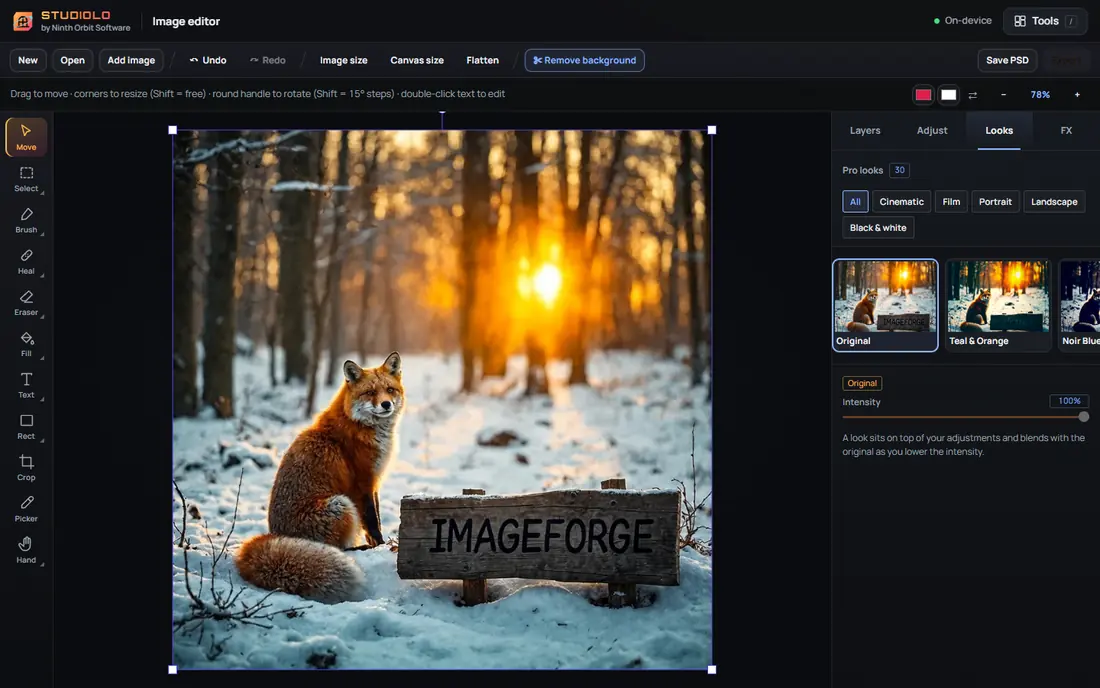 The image editor with pro looks for a photo of a fox